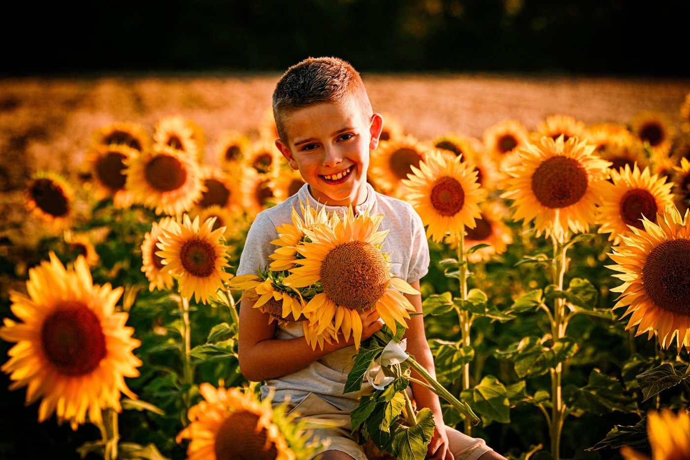 Séance photo enfants dans un champ de tournesols